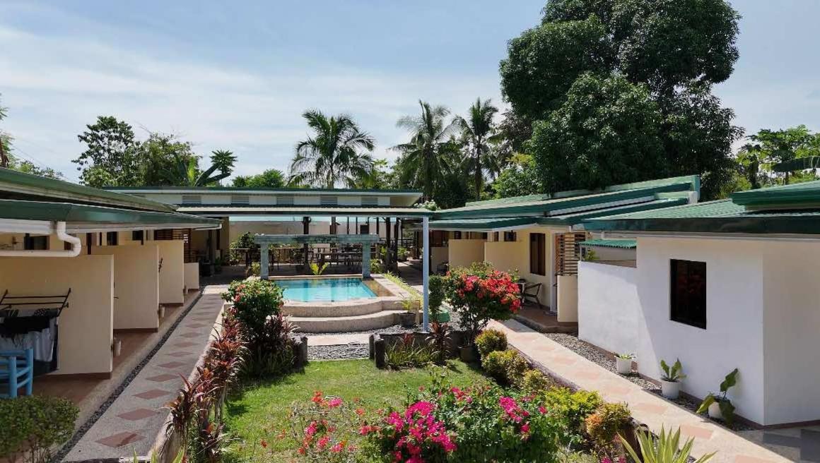Midnite Inn Panglao Eksteriør billede